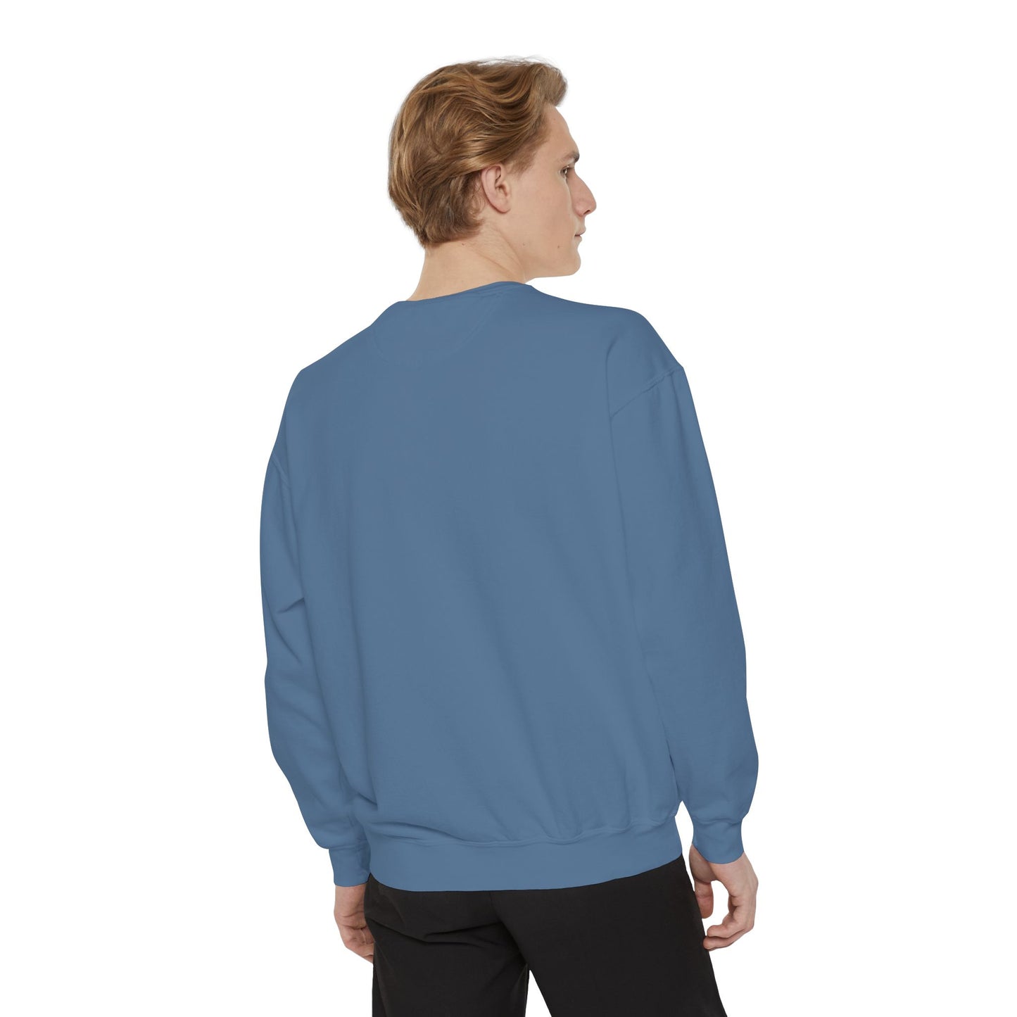 Plymouth Meeting Comfort Colors Sweater - Burbs Collection