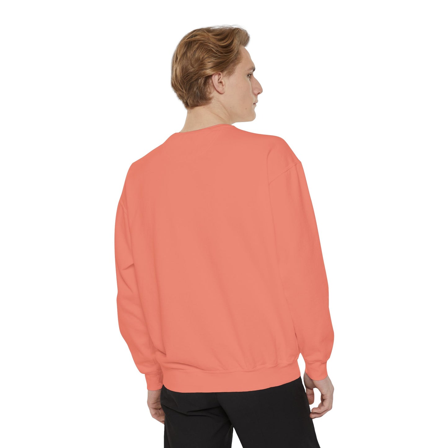 Narberth Comfort Colors Sweatshirt - Burbs Collection