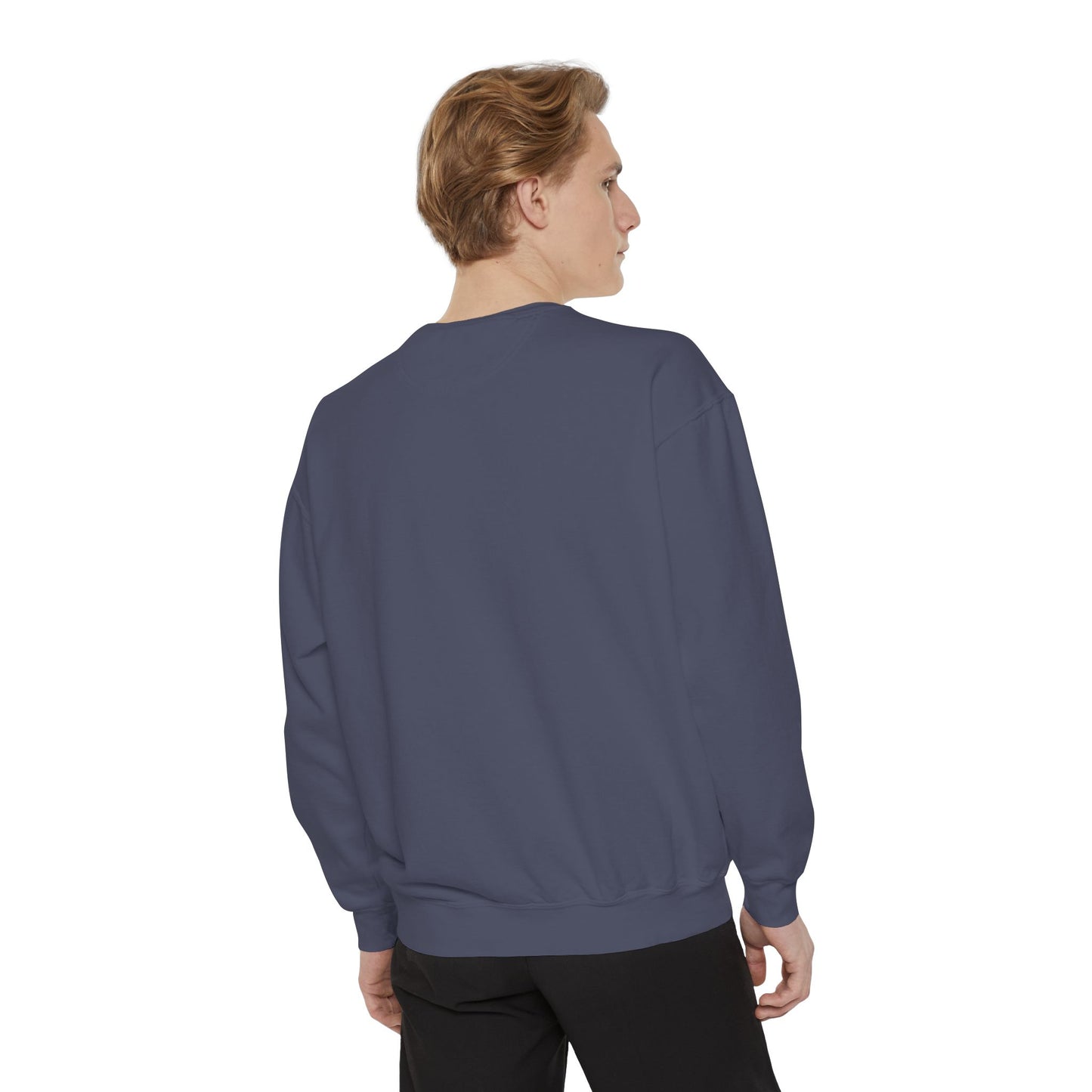 Plymouth Meeting Comfort Colors Sweater - Burbs Collection